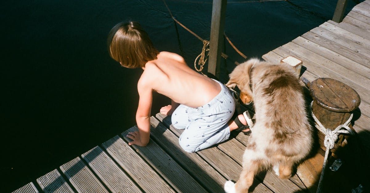 A child and a fluffy puppy curiously lean over a wooden dock by a lake under sunlight