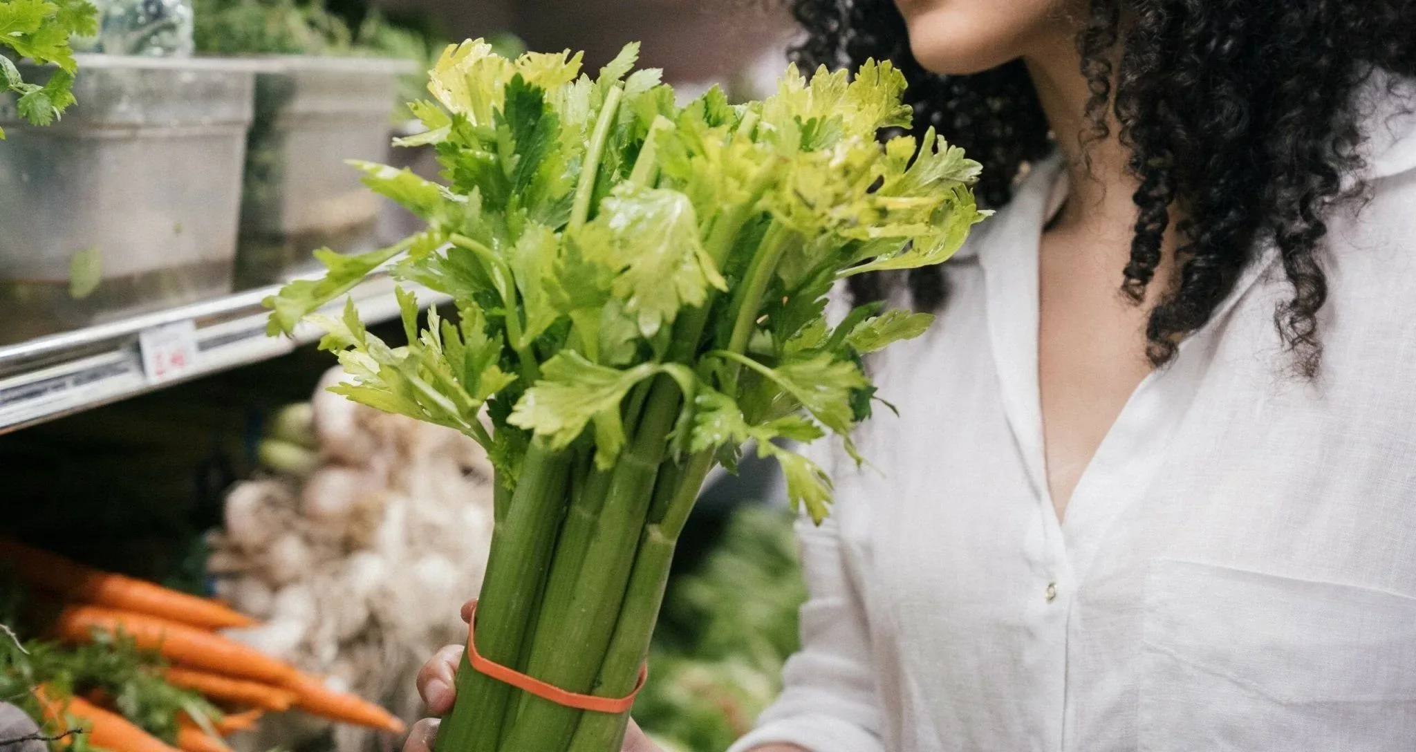 Can Dogs Eat Celery? Benefits And Risks | Hero Pet Health